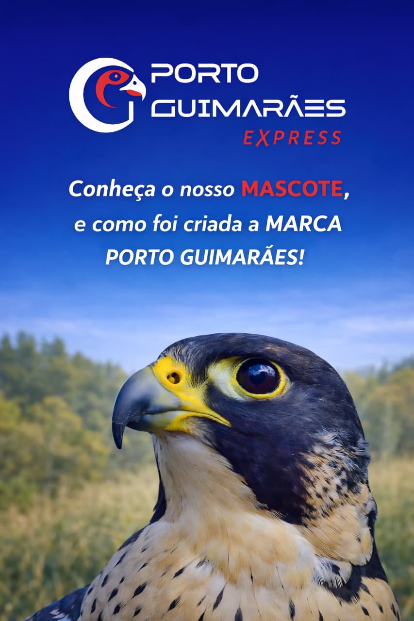 Marca 1