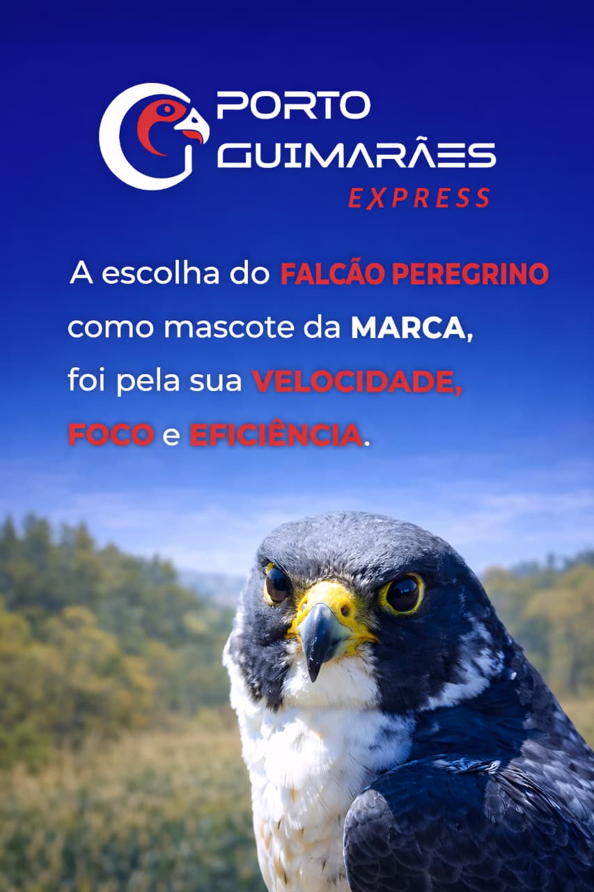 Marca 3